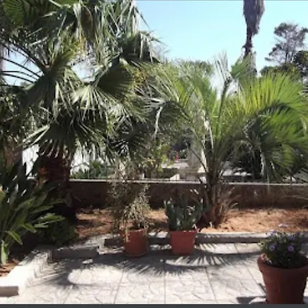 Alojamento de Acomodação e Pequeno-almoço B&B In Salento